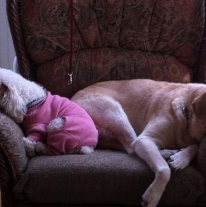 Meet your Posher, Nancy